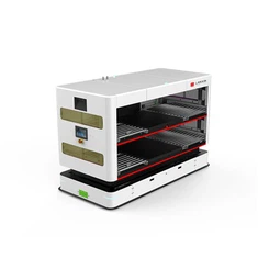 Wafer Robot